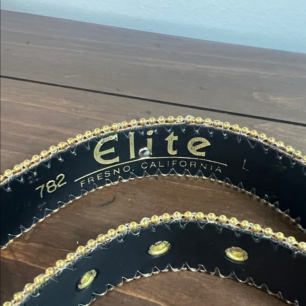 Embellished Multicolor Crystal Leather Belt with Gold Trim - Picture 3 of 3